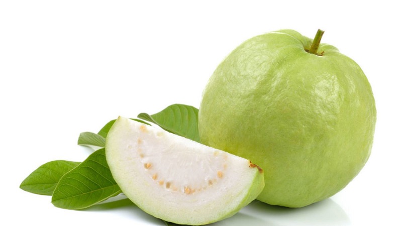 Guava